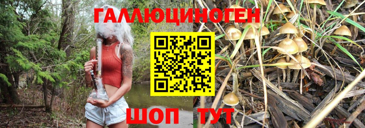 Псилоцибиновые грибы Magic Shrooms  Вход с VPN  Псилоцибиновые грибы ЛСД  Котовск 